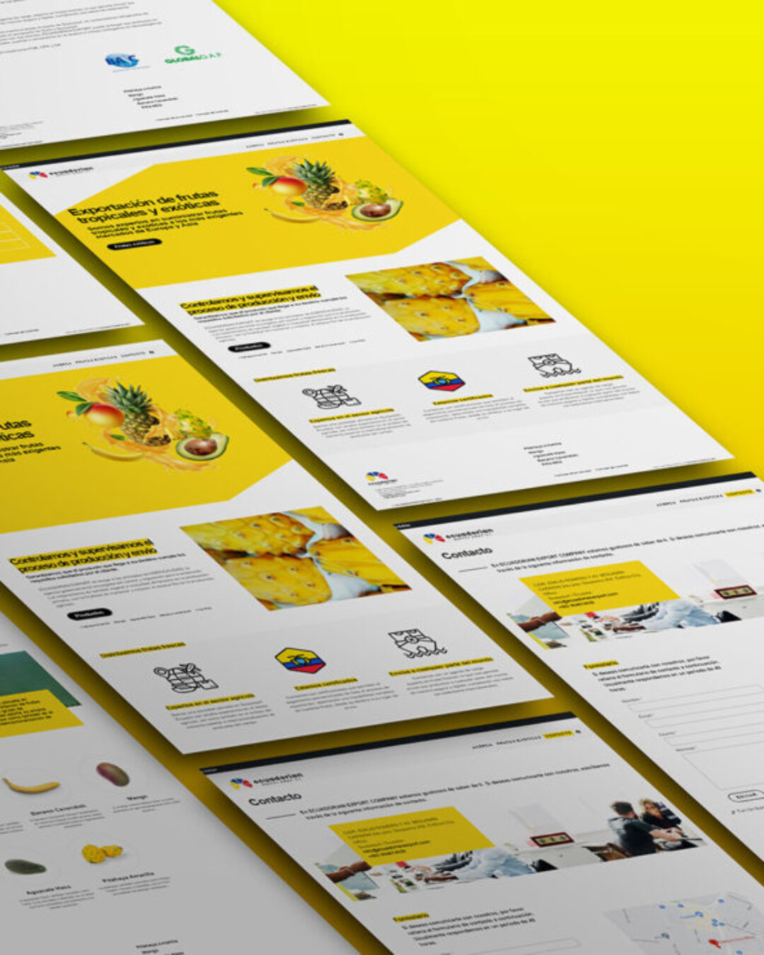 Web Ecuadorian Export Company Ecuadorian Export Company