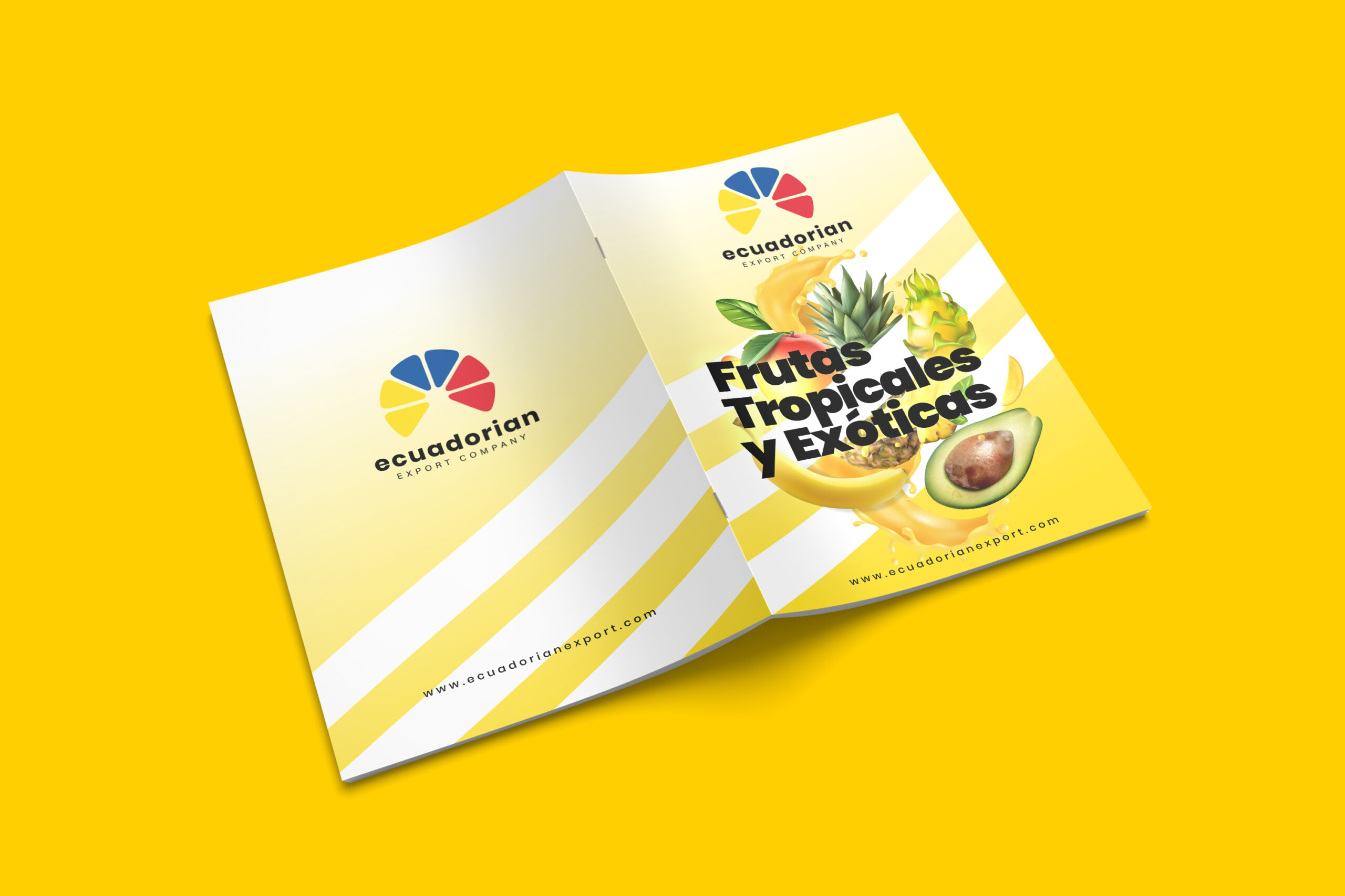 brochure mockup 3